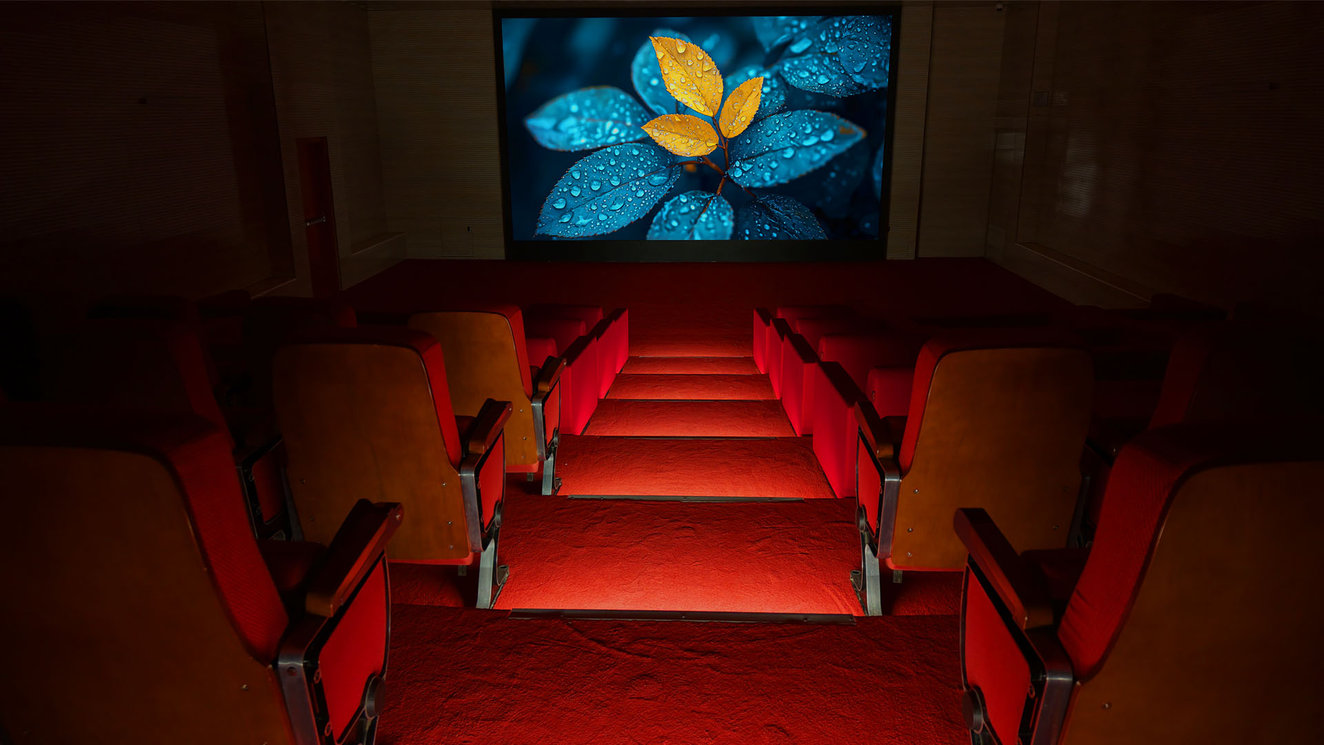 Movie Theatre